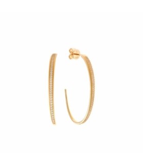 Aros de Plata Dorada - 256A0086