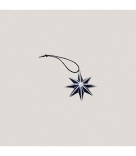 Estrella de Navidad - 33300014