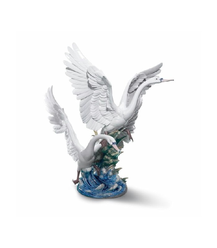 Vuelo de Cisnes - 01005912