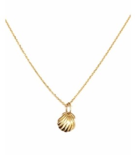 Colgante con Cadena Concha | Silver 925 shell & chain