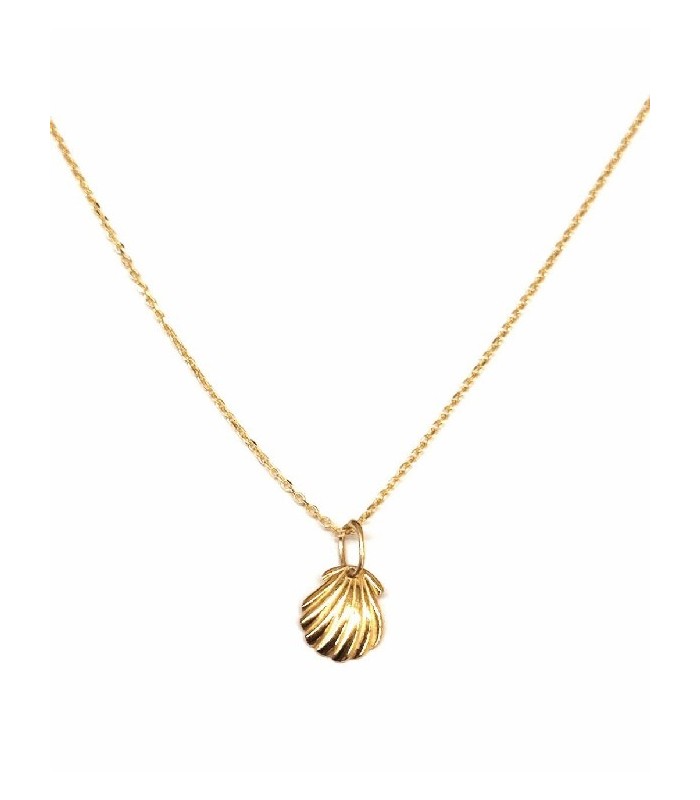 Colgante con Cadena Concha | Silver 925 shell & chain